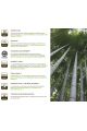 Lame terrasse 100% bambou densifié CAFÉ
